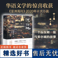 流俗地(精) (马来)黎紫书著 华语文学的惊喜收获 亚洲周刊2020年十大小说外国现当代文学 文学 北京十月文艺出版社