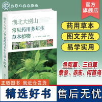 湖北大别山常见药用多年生草本植物 鄂东大别山地区常见药用多年生草本植物 药用草本 草本植物 多年生草本植物 植物爱好者参