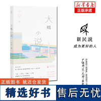 新民说 大概小说 小安/著 女性 当代文学 长篇小说 四川方言 对话体 婚姻 疾病 家庭 梦境 广西师范大学出版社