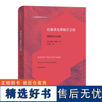 在康德与黑格尔之间:德国观念论讲座(精)/当代德国哲学前