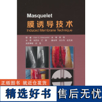 Masquelet 膜诱导技术