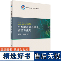图像拟态融合理论、模型和应用