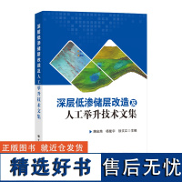 深层低渗储层改造及人工举升技术文集