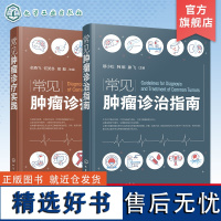 2册 常见肿瘤诊治指南 常见肿瘤诊疗实践 临床常见肿瘤病理学诊断及临床治疗 新抗肿瘤药 新靶向药物 新化疗方案 肿瘤科医