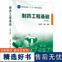 制药工程基础(第2版) 段建利,郑穹 编 大学教材大中专 正版图书籍 武汉大学出版社