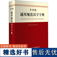 多功能通用规范汉字字典 商务国际辞书编辑部 编 汉语/辞典文教 正版图书籍 商务印书馆国际有限公司