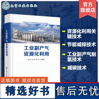 工业副产气资源化利用 工业大宗副产气的资源化利用关键技术 工业副产气制氢关键技术 高等院校炼油化工冶金能源等专业应用教材