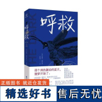 呼救 [美] 史黛西·威林厄姆著 齐梦涵译 Goodreads年度悬疑惊悚小说 国际惊悚作家协会欧美女性悬疑推理小说