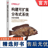 正版 构建可扩展分布式系统 方法与实践 伊恩 戈顿 可扩展系统 分布式系统 分布式架构 分布式 可扩展性 可扩展 流