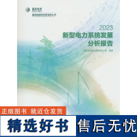 新型电力系统发展分析报告 2023