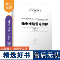 [正版新书] 输电线路雷电防护 何金良 清华大学出版社 输电线路;雷电防护;雷击物理过程;线路避雷器;线路