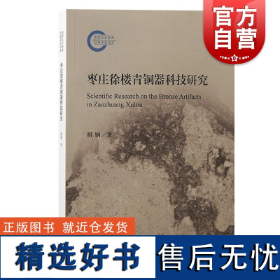 枣庄徐楼青铜器科技研究 国家社科基金后期资助项目胡钢著上海古籍出版社