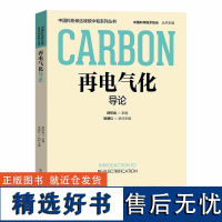 再电气化导论 中国科学技术出版社 舒印彪 著