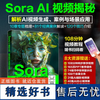 Sora AI视频生成 案例解析与场景应用 Sora人工智能AI Sora生成AI视频 Sora计算机应用 AI视频生成