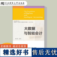 大数据与智能会计 甄阜铭 本科专业建设系列教材 会计学专业 Python函数式编程与面向对象程序设计 Pandas数据处