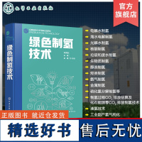 绿色制氢技术 全景式展现制氢工艺 设备与技术 电解水制氢 光解水制氢 生物质制氢 醇类制氢 氢能领域制氢技术研究技术人员