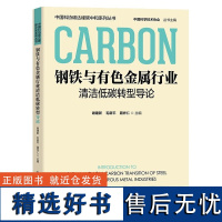 钢铁与有色金属行业清洁低碳转型导论 中国科协碳达峰碳中和系列丛书