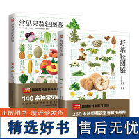 正版套装2册 野菜轻图鉴+常见果蔬轻图鉴 250多种常见野菜140多种水果蔬菜科普书籍大全 特征营养价值食疗功效 饮食营