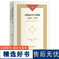 印地语公共领域:1920—1940:民族主义时代的语言与文学 光启文库 [意]弗朗切斯卡·奥尔西尼 著 任筱可 译 商务