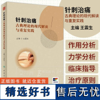 针刺治痛 古典理论的现代解读与重复实践 王震生 中医针刺治疗 疼痛诊治大体方向 临床典型病例分析 人民卫生出版社9787