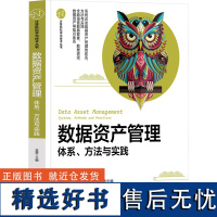 数据资产管理 体系、方法与实践 金震 编 大学教材专业科技 正版图书籍 清华大学出版社