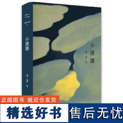 张爱玲全集05 小团圆 张爱玲的小说书正版 表达爱情的热情故事 中短篇小说集 现当代文学书籍 书