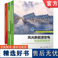 套装 高效可再生能源发电系统并网技术+风光新能源发电先进预测技术+新能源消纳的有效安全域及应用 套装全3册 新能源发