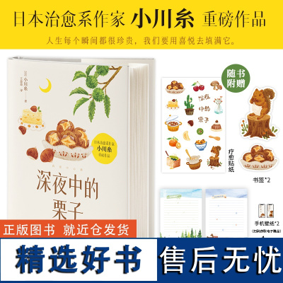 [赠书签+信纸+贴纸+手机壁纸]深夜中的栗子[日]小川糸 外国亚洲散文学随笔正版书籍小说书 四川文艺出版社 正版