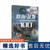 怒海·征途:百件物品背后的沉船故事 怒海狂浪,挡不住人类勇敢的征途。