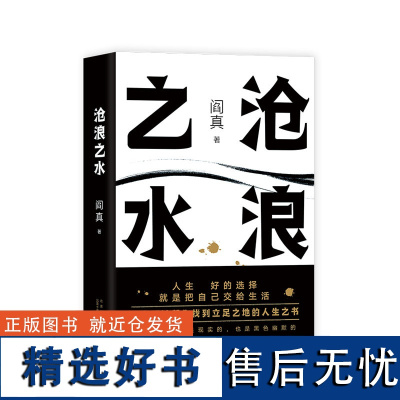 沧浪之水 阎真 中国现当代小说 爱情小说 现当代小说书籍 阎真 活着之上排行榜书籍篇小说 官场小说