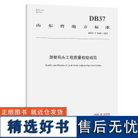 游艇码头工程质量检验规范(DB37/T 4638—2023)