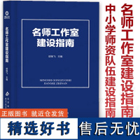 名师工作室建设指南 胡继飞 主编 中小学师资队伍建设指南 中小学名教师工作室建设 名校长名师班主任工作室 北京教育出版社