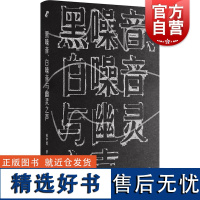 黑噪音白噪音与幽灵之声 姜宇辉著作上海文艺出版社