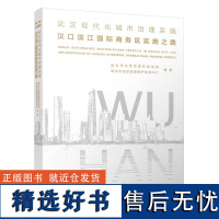 武汉现代化城市治理实践 汉口滨江国际商务区实施之路