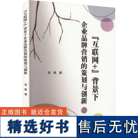 &quot;互联网+&quot;背景下企业品牌营销的策划与创新 杨枫 著 广告营销经管、励志 正版图书籍 文化发展出版社