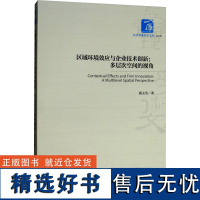 区域环境效应与企业技术创新:多层次空间的视角 盛玉雪 著 社会科学其它经管、励志 正版图书籍 经济管理出版社