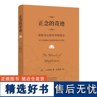 正念的奇迹 一行禅师 人生哲学心理学舍得放下 介绍禅修之智慧和胜妙的优秀作品 河南文艺出版社 正版书籍