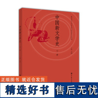 中国新文学史 下册 丁帆 高等院校汉语言文学专业教材 中文学科教学指导委员会编组 高等教育出版社