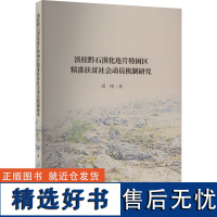 滇桂黔石漠化连片特困区精准扶贫社会动员机制研究 胡刚 著 经济理论经管、励志 正版图书籍 九州出版社