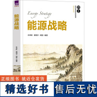 能源战略 孙传旺,谢明华,田磊 编 大学教材大中专 正版图书籍 清华大学出版社