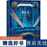 正版神秘岛情节惊险构思巧妙想象丰富时充满了科学元素激发一往无前的探险精神丰富人们的科学知识历史知识地理知识