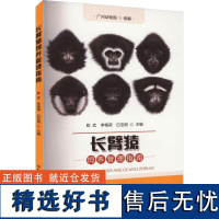 长臂猿饲养管理指南 陈武,李梅荣,白亚丽 编 中国农业出版社9787109308466