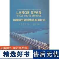 大跨钢桁梁桥维修改造技术