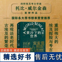 黄沙下的世界 埃及学黄金时代的探险与考古 埃及学家托比·威尔金森 著 西方争夺古埃及财富的惊心动魄的历史 尼罗河 埃及考