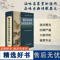 先秦两汉魏晋南北朝诗歌鉴赏辞典古典诗歌鉴赏赏析先秦两汉魏晋南北朝魏晋南北朝诗经楚辞离骚风雅颂赋比兴诗商务印书馆