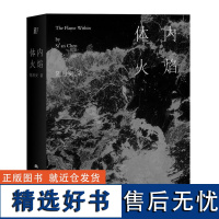 体内火焰 陈思安当代世界出版社