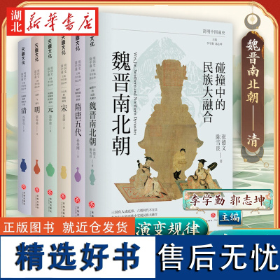 [全6册]简明中国通史 讲述中国历史的演变规律 魏晋南北朝隋唐朝宋朝元朝明朝清朝等 历史发展进程 传统文化历史书普及书