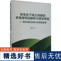 新常态下电力消费的多维度特征解析与需求预测——兼论湖北省电力高质量发展 光峰涛 著 各部门经济经管、励志