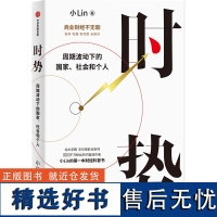 时势 周期波动下的国家、社会和个人 小Lin 著 经济理论经管、励志 正版图书籍 中信出版社