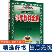 小学教材全解 6年级语文(下) 薛金星 编 小学教辅文教 正版图书籍 辽宁大学出版社